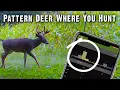 Deer Hunting Strategy Planning Session - Sept 9 2022