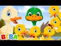 Lagu BÉBA - Pět Kachniček | Písnička pro malé děti