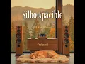 Hipócrita (Chill Version)