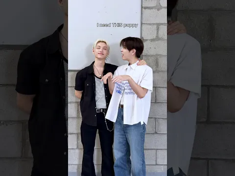 Felix needs puppy (Seungimin)