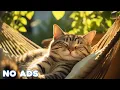 Download Lagu 12 Hours Sleep Music for Cats 🐈 Calming Music for Cats No Ads ♬ Sleep Music for Anxious Cats