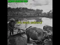 Download Lagu Story wa lagu minang terbaru 2021 || Bansaik bukanlah hino - Wan parau ||