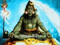 Download Lagu 1008 Times - Om Namah Shivaya - Sri Ganapathy Sachchidananda Swamiji