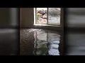 Here we are again Cottonwood Heights family displaced after home floods for third time