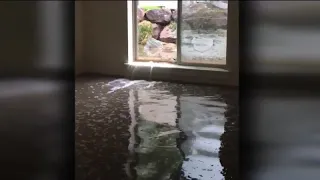 Here we are again Cottonwood Heights family displaced after home floods for third time