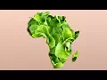 Number 15 Burger King Foot Lettuce
