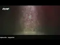 F171P - Powerful Trance Music 354 25-06-2026