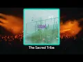Monkey Safari, Super Flu - Confused (Original Mix) - #melodichouse #thesacredtribe