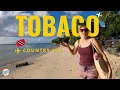 Download Lagu TOBAGO'S🇹🇹 HIDDEN PARADISE 🏝️ Why This Caribbean Gem Will Steal Your Heart
