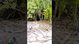 Always a hard reminder to be aware of what we do… 🌏 #sailingfamily #travel #plasticpollution