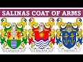 Salinas Coat of Arms Family Crest - Symbols Bearers History
