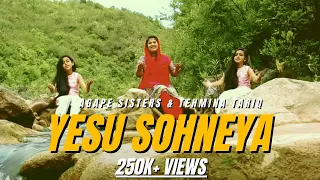 yesu sohneya agape sisters u0026 tehmina tariq agape productions