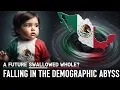 Download Lagu Hoe het Mexico dat we ooit kenden, verdwijnt