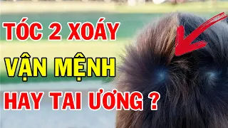2 Xoáy Tóc Nói Lên Điều Gì Về Tương Lai Của Bạn?