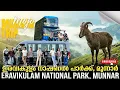 Eravikulam - Munnar Hidden Realities
