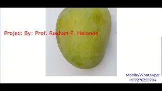 Mango Fruit Disease Detection Using Image Processing With Source Code Python Project Code