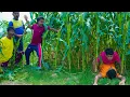 Lagu Funniest Fun Amazing videos must Entertainment comedy 2025🤣Try To Not Laugh Episode 246 By Fun Tv 24