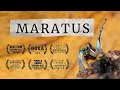 Lagu MARATUS: award-winning peacock spider documentary