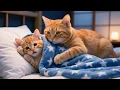 Download Lagu Thundery Fears, Gentle Reunions 🌧️ | Ginger’s Healing Compilation ①