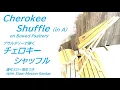 Download Lagu Cherokee Shuffle on Bowed Psaltery with Slow-Motion Replay プサルタリーで弾くチェロキーシャッフル 運弓スロー再生つき