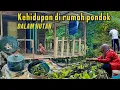 Download Lagu Berkebun nanam sayur di lahan yang basah sering diguyur hujan. Rumah pondok dalam hutan.