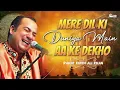 Mere Dil Ki Duniya Main Aa Ke Dekho | Rahat Fateh Ali Khan | Beautiful Qawwali | Hi-Tech Music