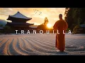 Download Lagu Reiki Muziek | Elimineert stress, laat melatonine en gifstoffen vrij | Kalmeert de geest en ziel