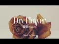 優里 (Yuuri) - ドライフラワー (Dried Flower) Cover by Yako