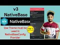 How to Solve Use Theme must be used in Nativebase Config Provider