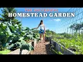 Download Lagu Simple Garden Tasks for BIGGER HARVESTS