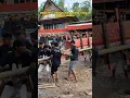 Download Lagu Mengapa Pemakaman orang Toraja sangat mahal? #adat #toraja #pemakamanmahal #indonesia #rambusolo