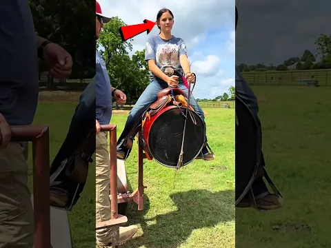 😱 Почему она прыгает с бочки? А моя кошка на вас обиделась! 🐱