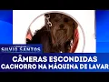 Download Lagu Cachorro na Máquina de Lavar | Câmeras Escondidas (21/10/18)
