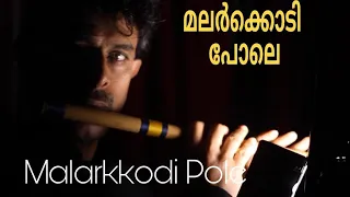 flute lullaby malar kodi pole cover by anoop