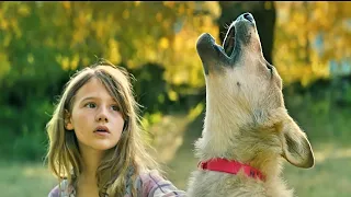 movie explained in hindi urdu 