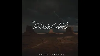 الشيخ ياسر الدوسري    واتقوا يوما  ترجعون فيه إلي الله دندنها