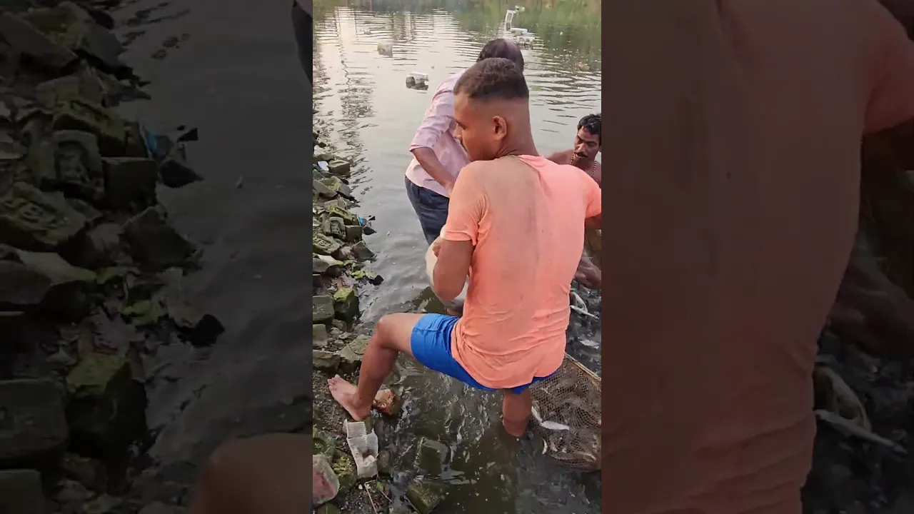 Live Fish Catching #lifestyle #shorts #fishcatching