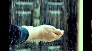 الله يخليهم وائل جسار 