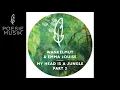 Wankelmut & Emma Louise - My Head Is A Jungle (Gui Boratto Remix)