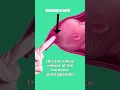 Download Lagu मेम्ब्रेन स्वीप (Membrane Sweep) क्या है? 🤔 Is it safe⁉️ #pregnancy #labor #birth