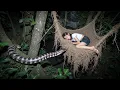 Download Lagu I Survived a Snake Attack - Braiding Spider Webs from Forest Vines to Avoid Danger