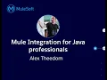 VirtualMuleys - Mule Integration for Java professionals