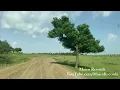 Download Lagu Road Trip Adi Bari To Kudo Felasi - Eritrea's Uncharted Odyssey