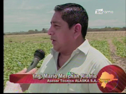 Ecuador Agropecuario 08-03-2017