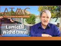 Lamictal Wit rawal lamotrigine Tapering Help Side Effects and Alternatives Alternative to Meds