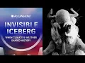 Invisible Iceberg The Locust Plague of 1874