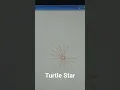 How to make Turtle Star in Python