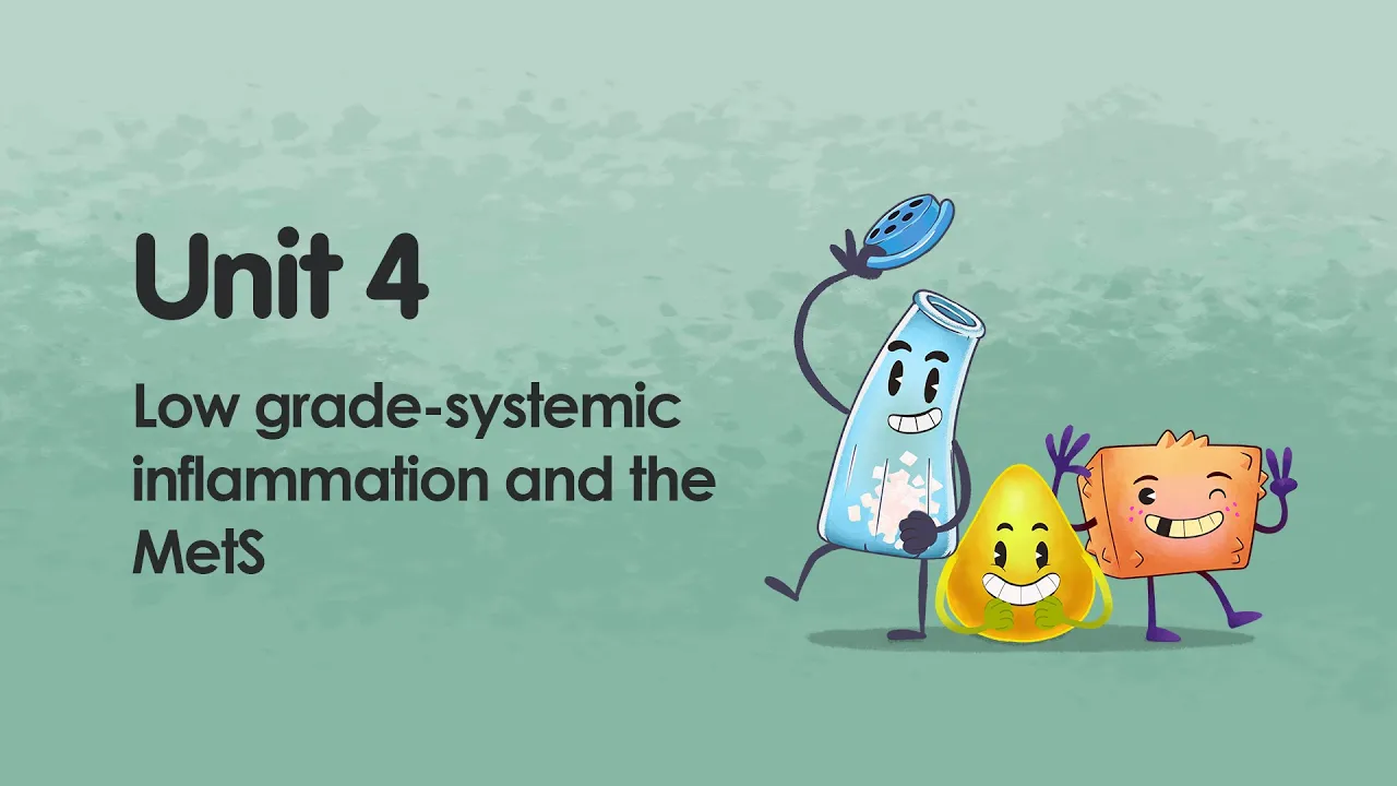 Low grade-systemic inflammation and the MetS | iMooX.at