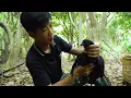 Catching Black Chickens - Rescuing Chickens from a GIANT ANACONDA!