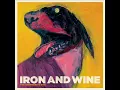 Iron & Wine - Resurrection Fern